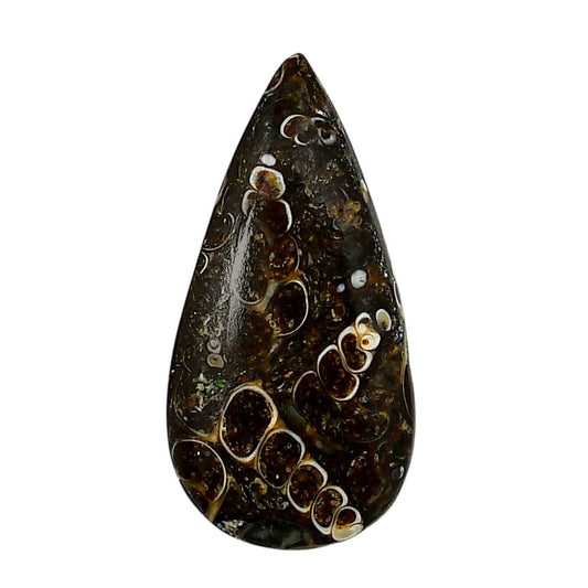 Turtella Jasper 18.1x36.15x5.5 mm Pear Shape Polished Gemstone LS70-05806