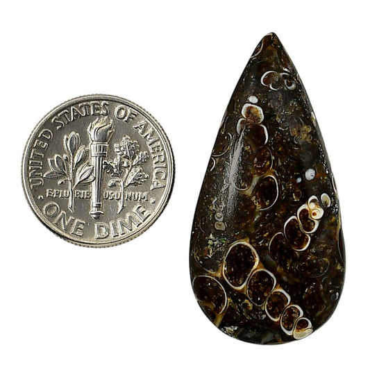 Turtella Jasper 18.1x36.15x5.5 mm Pear Shape Polished Gemstone LS70-05806