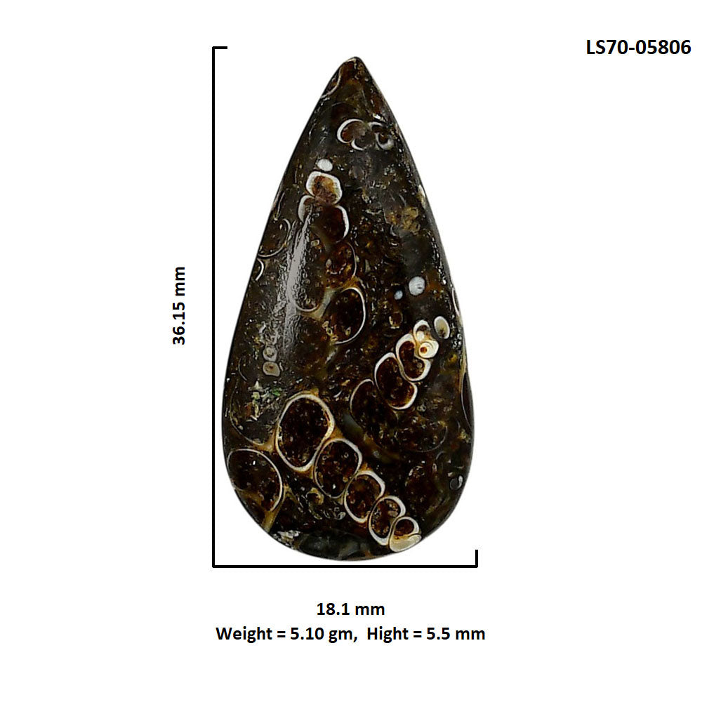 Turtella Jasper 18.1x36.15x5.5 mm Pear Shape Polished Gemstone LS70-05806