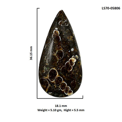 Turtella Jasper 18.1x36.15x5.5 mm Pear Shape Polished Gemstone LS70-05806