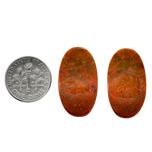 Rare Cady Mountain Agate Pair 15x26.7x4 mm Oval Shape Polished Gemstone LS71-04327