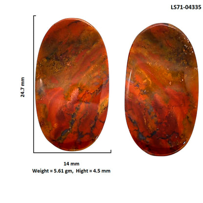 Rare Cady Mountain Agate Pair 14x24.7x4.5 mm Oval Shape Polished Gemstone LS71-04335