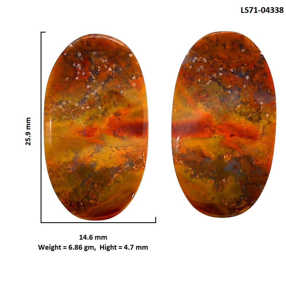 Rare Cady Mountain Agate Pair 14.6x25.9x4.7 mm Oval Shape Polished Gemstone LS71-04338