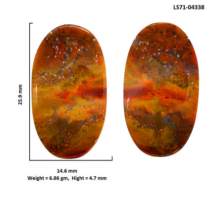 Rare Cady Mountain Agate Pair 14.6x25.9x4.7 mm Oval Shape Polished Gemstone LS71-04338