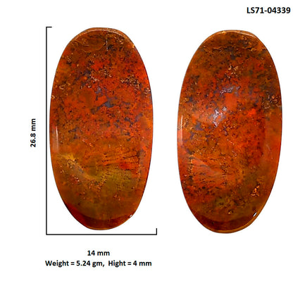 Rare Cady Mountain Agate Pair 14x26.8x4 mm Oval Shape Polished Gemstone LS71-04339