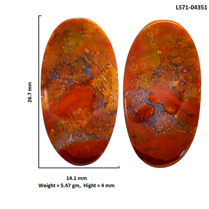 Rare Cady Mountain Agate Pair 14.1x26.7x4 mm Oval Shape Polished Gemstone LS71-04351
