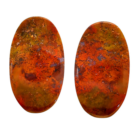 Rare Cady Mountain Agate Pair 15x26.1x5 mm Oval Shape Polished Gemstone LS71-04362