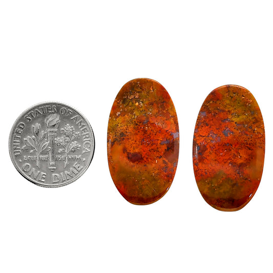 Rare Cady Mountain Agate Pair 15x26.1x5 mm Oval Shape Polished Gemstone LS71-04362