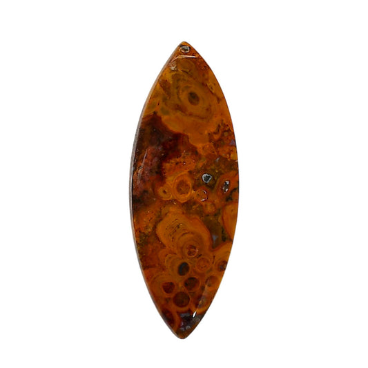 Rare Cady Mountain Agate 15.7x42.1x5.6 mm Marquise Shape Polished Gemstone LS71-05531
