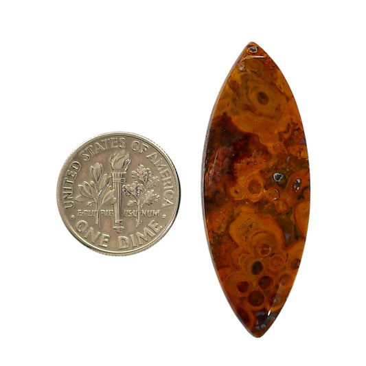 Rare Cady Mountain Agate 15.7x42.1x5.6 mm Marquise Shape Polished Gemstone LS71-05531