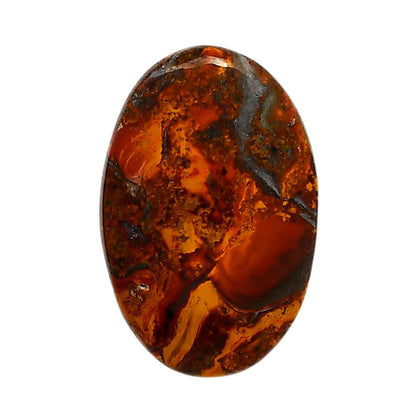 Rare Cady Mountain Agate 20.5x31x6.3 mm Oval Shape Polished Gemstone LS71-05535
