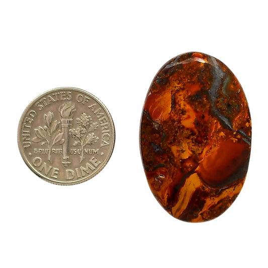 Rare Cady Mountain Agate 20.5x31x6.3 mm Oval Shape Polished Gemstone LS71-05535