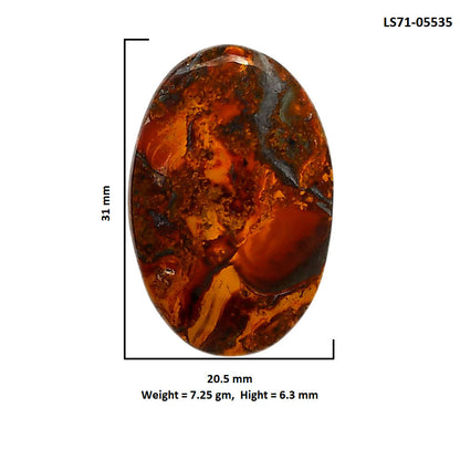Rare Cady Mountain Agate 20.5x31x6.3 mm Oval Shape Polished Gemstone LS71-05535