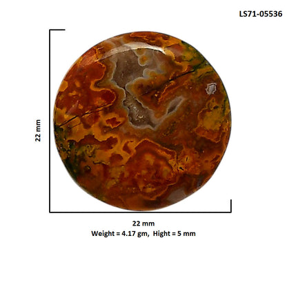 Rare Cady Mountain Agate 22x22x5 mm Round Shape Polished Gemstone LS71-05536