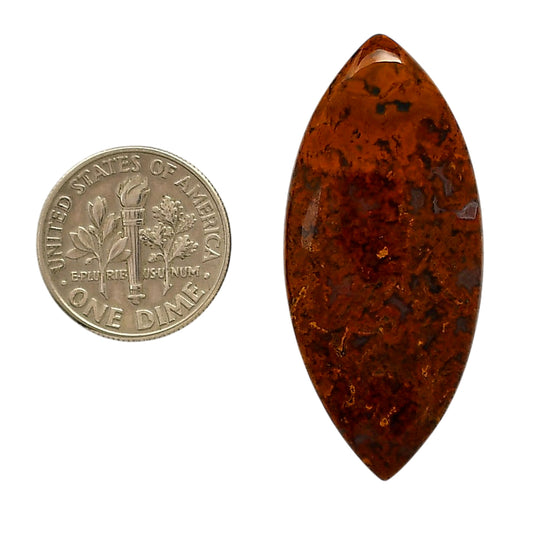 Rare Cady Mountain Agate 18.3x40.7x5.5 mm Marquise Shape Polished Gemstone LS71-05537