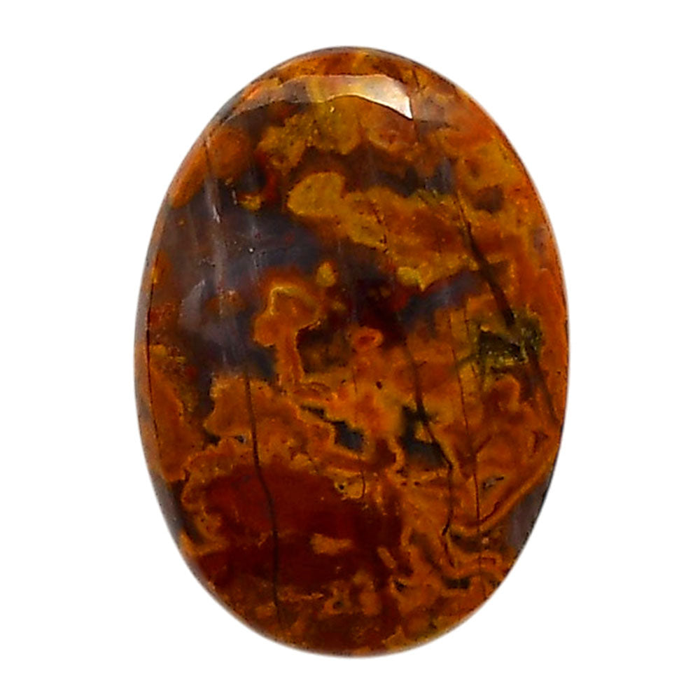 Rare Cady Mountain Agate 19.3x27.1x6 mm Oval Shape Polished Gemstone LS71-05538