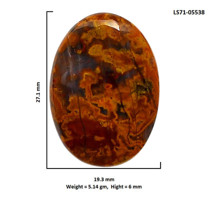 Rare Cady Mountain Agate 19.3x27.1x6 mm Oval Shape Polished Gemstone LS71-05538