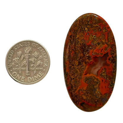 Rare Cady Mountain Agate 21.5x39.3x4 mm Oval Shape Polished Gemstone LS71-05539