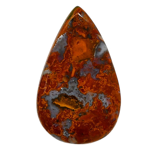 Rare Cady Mountain Agate 19.5x32x5.5 mm Pear Shape Polished Gemstone LS71-05541