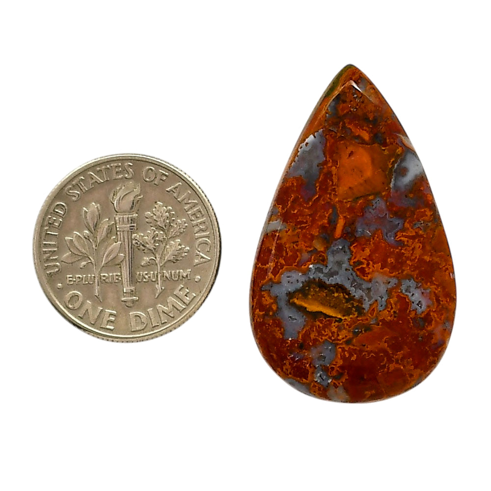 Rare Cady Mountain Agate 19.5x32x5.5 mm Pear Shape Polished Gemstone LS71-05541