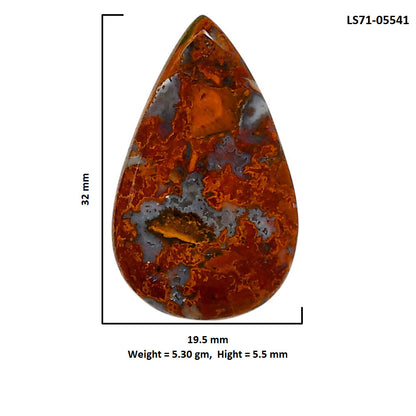 Rare Cady Mountain Agate 19.5x32x5.5 mm Pear Shape Polished Gemstone LS71-05541