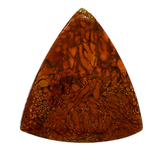 Rare Cady Mountain Agate 26x28.6x5 mm Fancy Shape Polished Gemstone LS71-05542