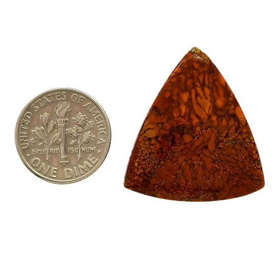 Rare Cady Mountain Agate 26x28.6x5 mm Fancy Shape Polished Gemstone LS71-05542