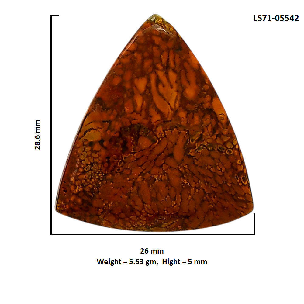 Rare Cady Mountain Agate 26x28.6x5 mm Fancy Shape Polished Gemstone LS71-05542