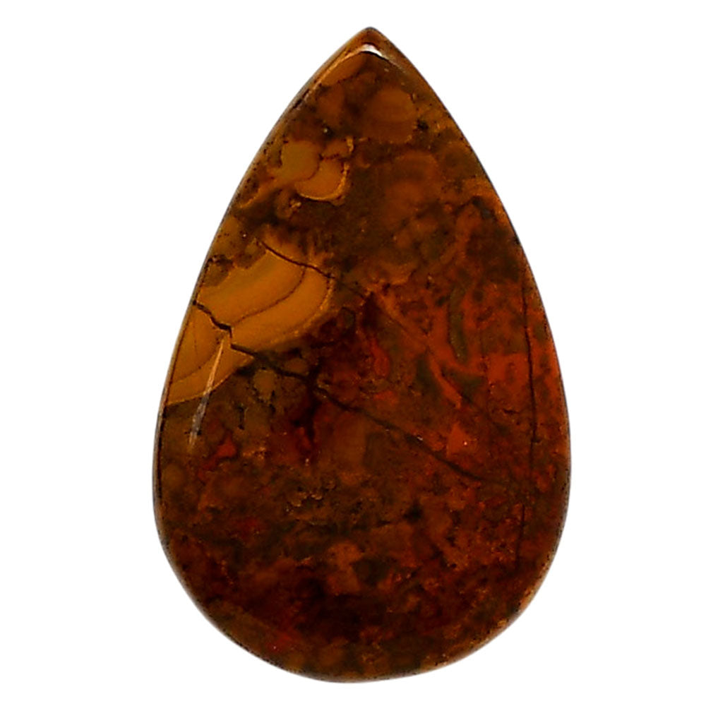 Rare Cady Mountain Agate 18.8x29.35x4.7 mm Pear Shape Polished Gemstone LS71-05543