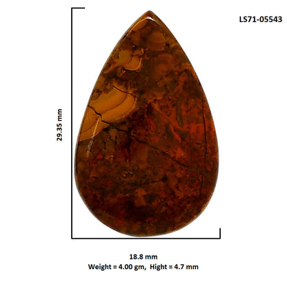 Rare Cady Mountain Agate 18.8x29.35x4.7 mm Pear Shape Polished Gemstone LS71-05543