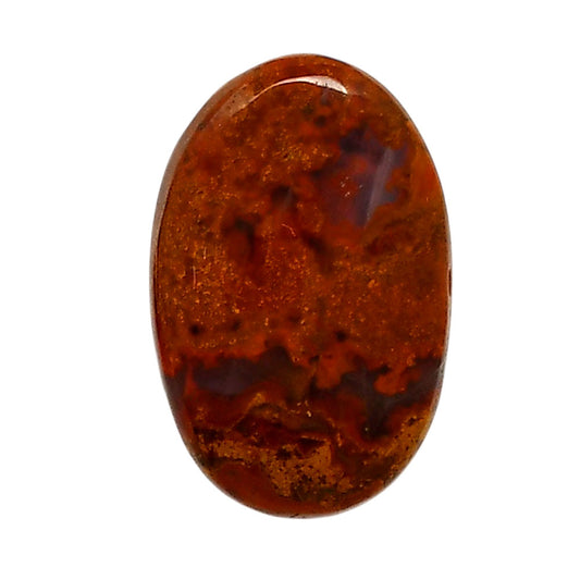 Rare Cady Mountain Agate 17.4x26.6x6 mm Oval Shape Polished Gemstone LS71-05544