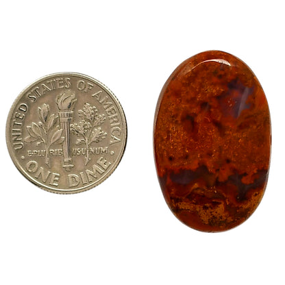 Rare Cady Mountain Agate 17.4x26.6x6 mm Oval Shape Polished Gemstone LS71-05544