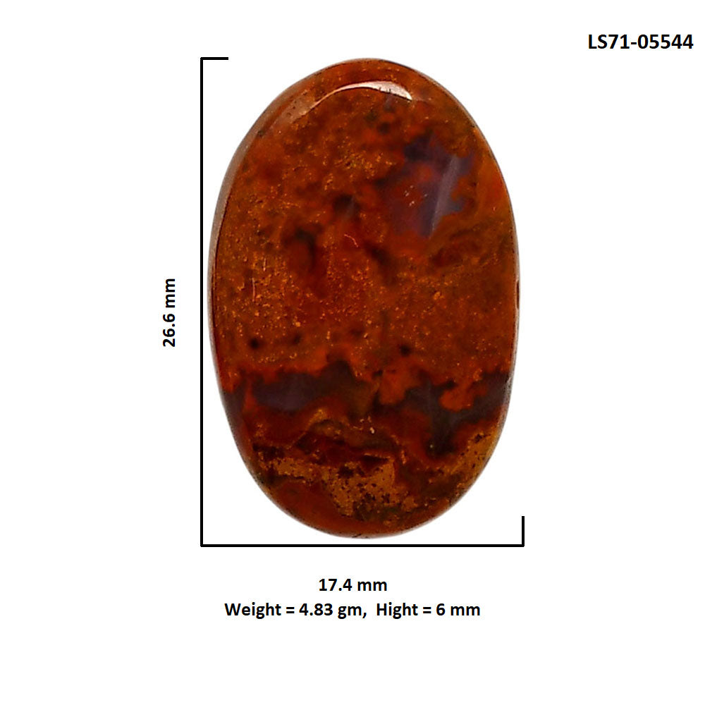 Rare Cady Mountain Agate 17.4x26.6x6 mm Oval Shape Polished Gemstone LS71-05544
