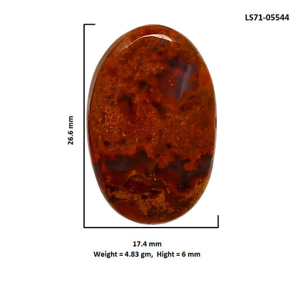 Rare Cady Mountain Agate 17.4x26.6x6 mm Oval Shape Polished Gemstone LS71-05544