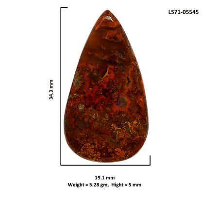 Rare Cady Mountain Agate 19.1x34.3x5 mm Pear Shape Polished Gemstone LS71-05545