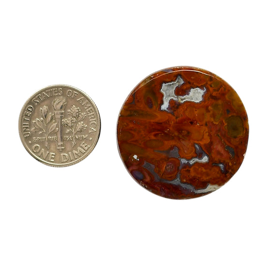 Rare Cady Mountain Agate 28.5x28.5x6 mm Round Shape Polished Gemstone LS71-05546