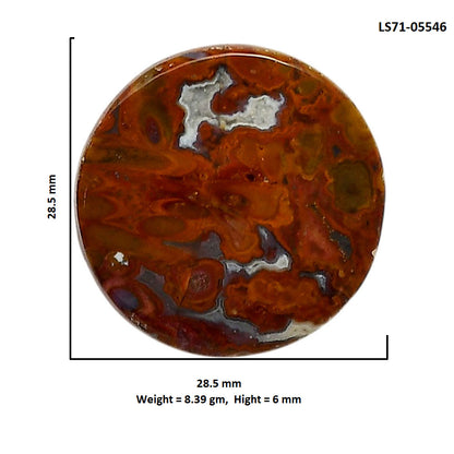 Rare Cady Mountain Agate 28.5x28.5x6 mm Round Shape Polished Gemstone LS71-05546