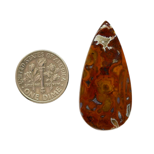 Rare Cady Mountain Agate 17.7x36.35x5.5 mm Pear Shape Polished Gemstone LS71-05547