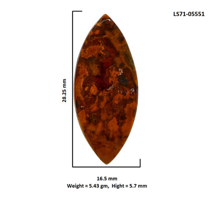 Rare Cady Mountain Agate 16.5x28.25x5.7 mm Marquise Shape Polished Gemstone LS71-05551