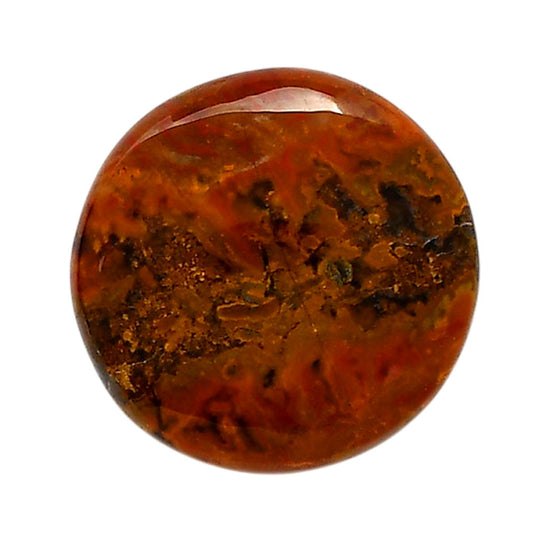 Rare Cady Mountain Agate 25x25x6 mm Round Shape Polished Gemstone LS71-05552