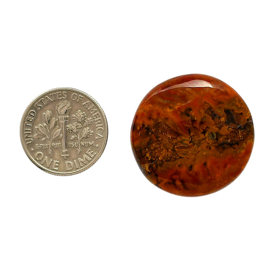 Rare Cady Mountain Agate 25x25x6 mm Round Shape Polished Gemstone LS71-05552