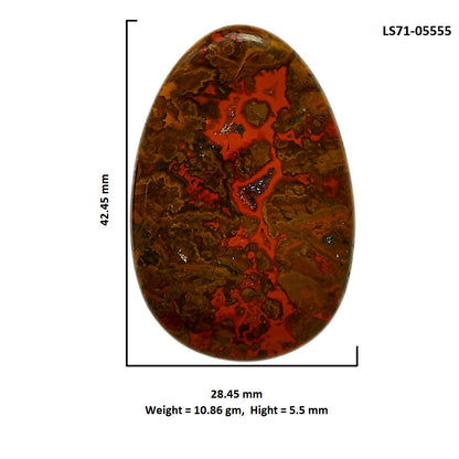 Rare Cady Mountain Agate 28.45x42.45x5.5 mm Fancy Shape Polished Gemstone LS71-05555