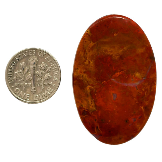 Rare Cady Mountain Agate 26.75x41.35x5.5 mm Oval Shape Polished Gemstone LS71-05556