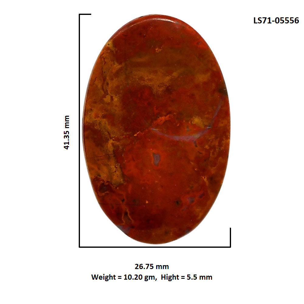 Rare Cady Mountain Agate 26.75x41.35x5.5 mm Oval Shape Polished Gemstone LS71-05556