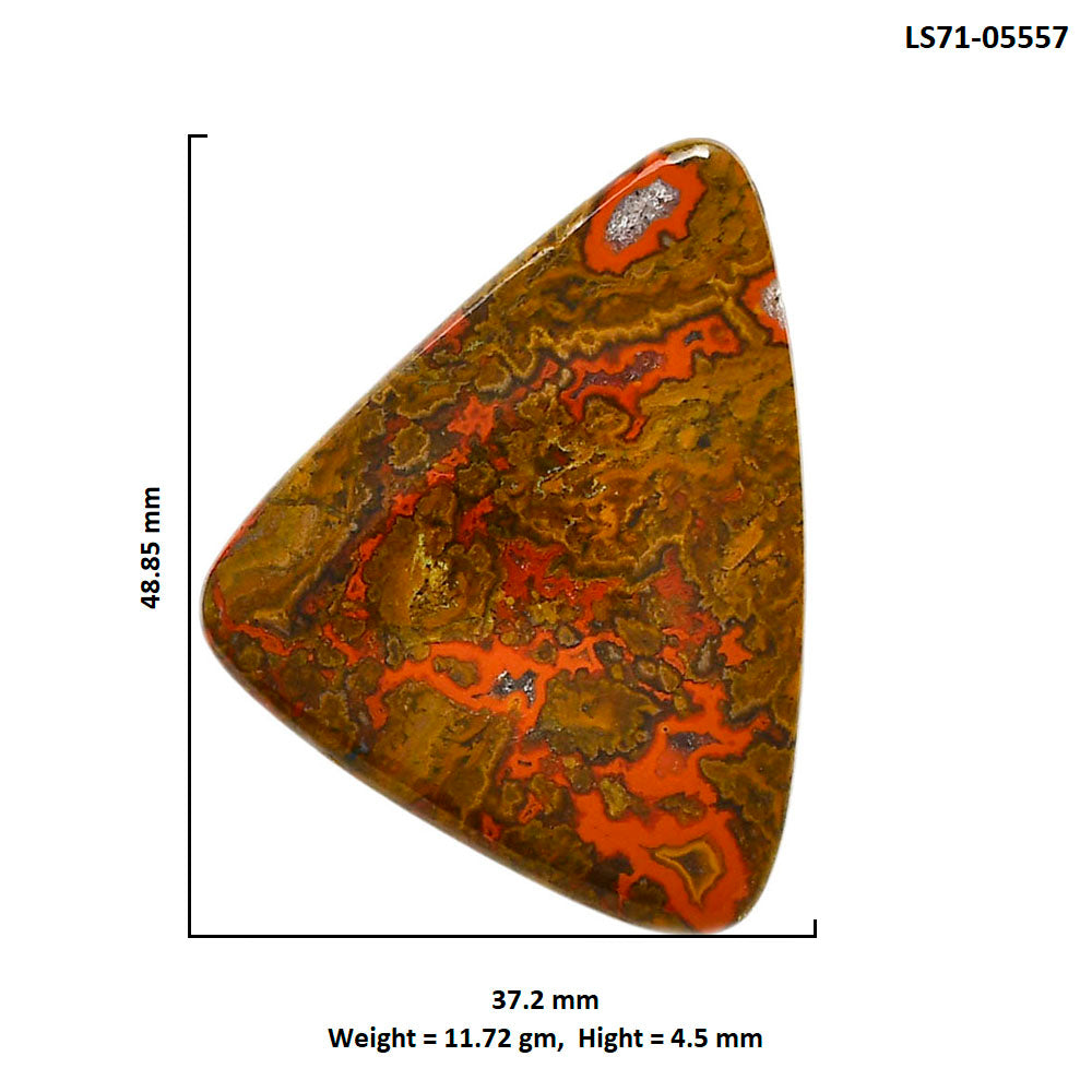 Rare Cady Mountain Agate 37.2x48.85x4.5 mm Fancy Shape Polished Gemstone LS71-05557