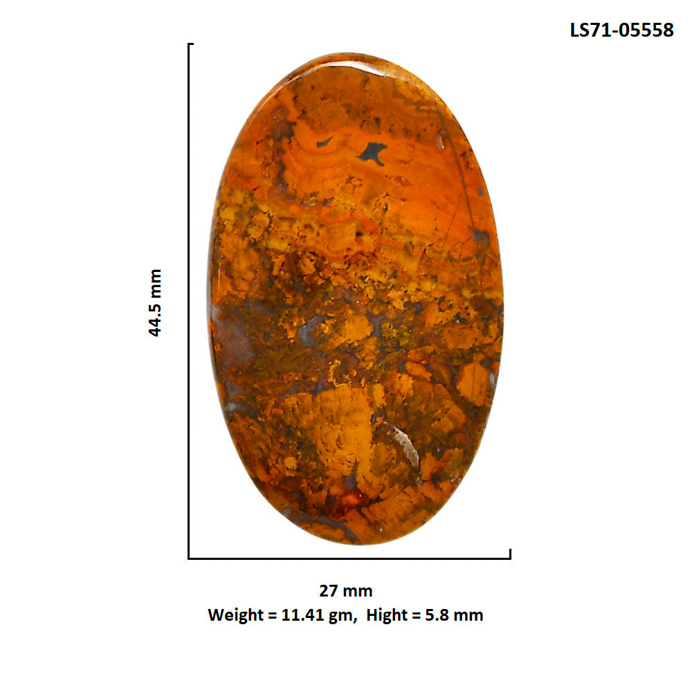 Rare Cady Mountain Agate 27x44.5x5.8 mm Oval Shape Polished Gemstone LS71-05558