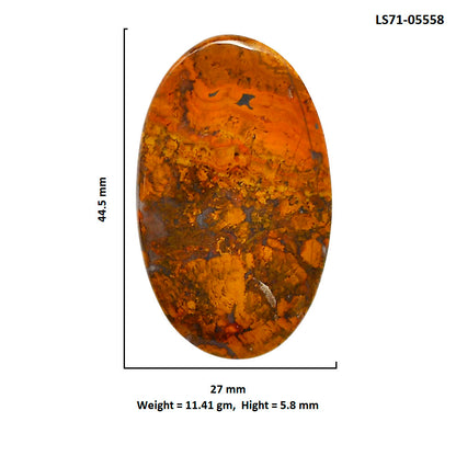 Rare Cady Mountain Agate 27x44.5x5.8 mm Oval Shape Polished Gemstone LS71-05558