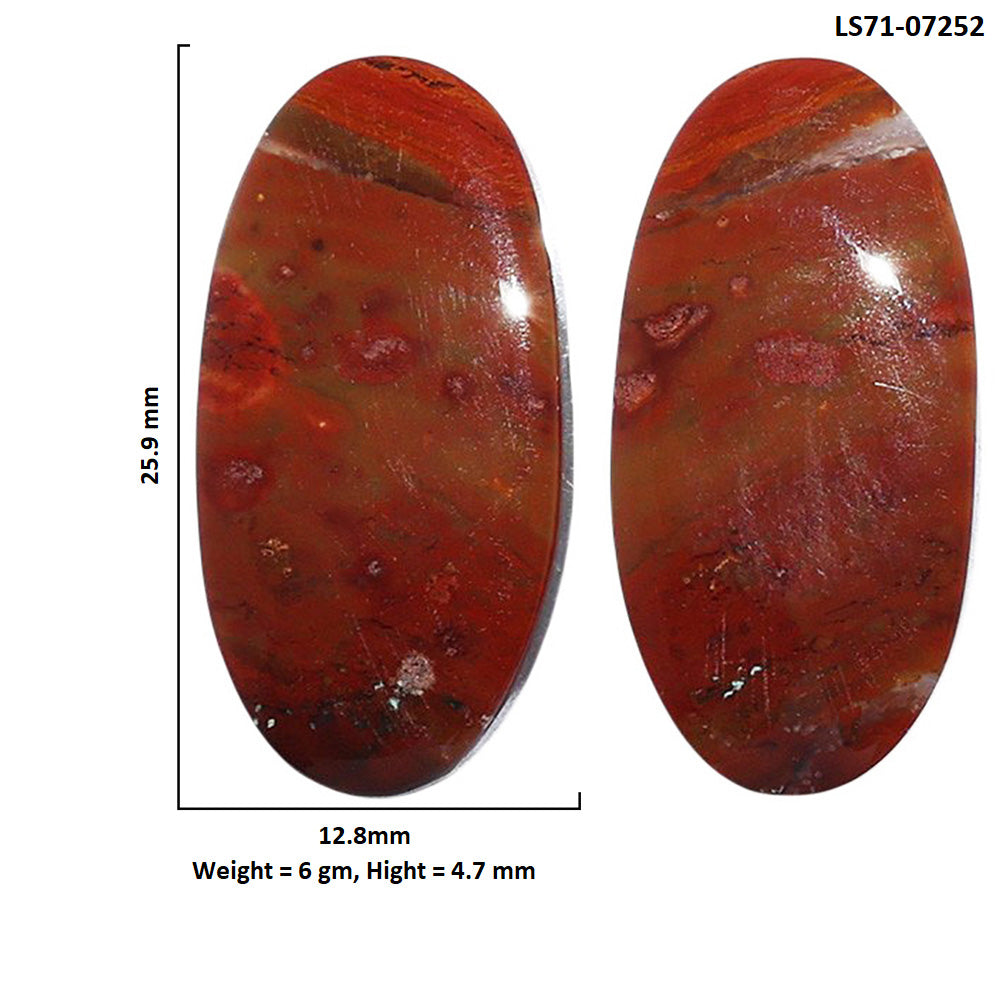 Rare Cady Mountain Agate Pair 12.8x25.9x4.7 mm Oval Shape Polished Gemstone LS71-07252