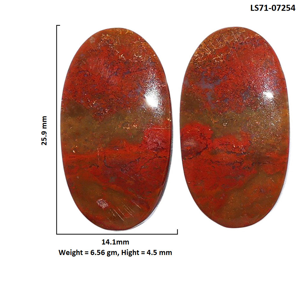 Rare Cady Mountain Agate Pair 14.1x25.9x4.5 mm Oval Shape Polished Gemstone LS71-07254