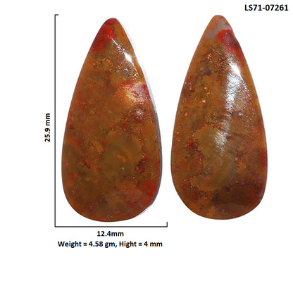 Rare Cady Mountain Agate Pair 12.4x25.9x4 mm Pear Shape Polished Gemstone LS71-07261